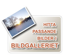 Gratis bilder hittar du i bildgalleriet